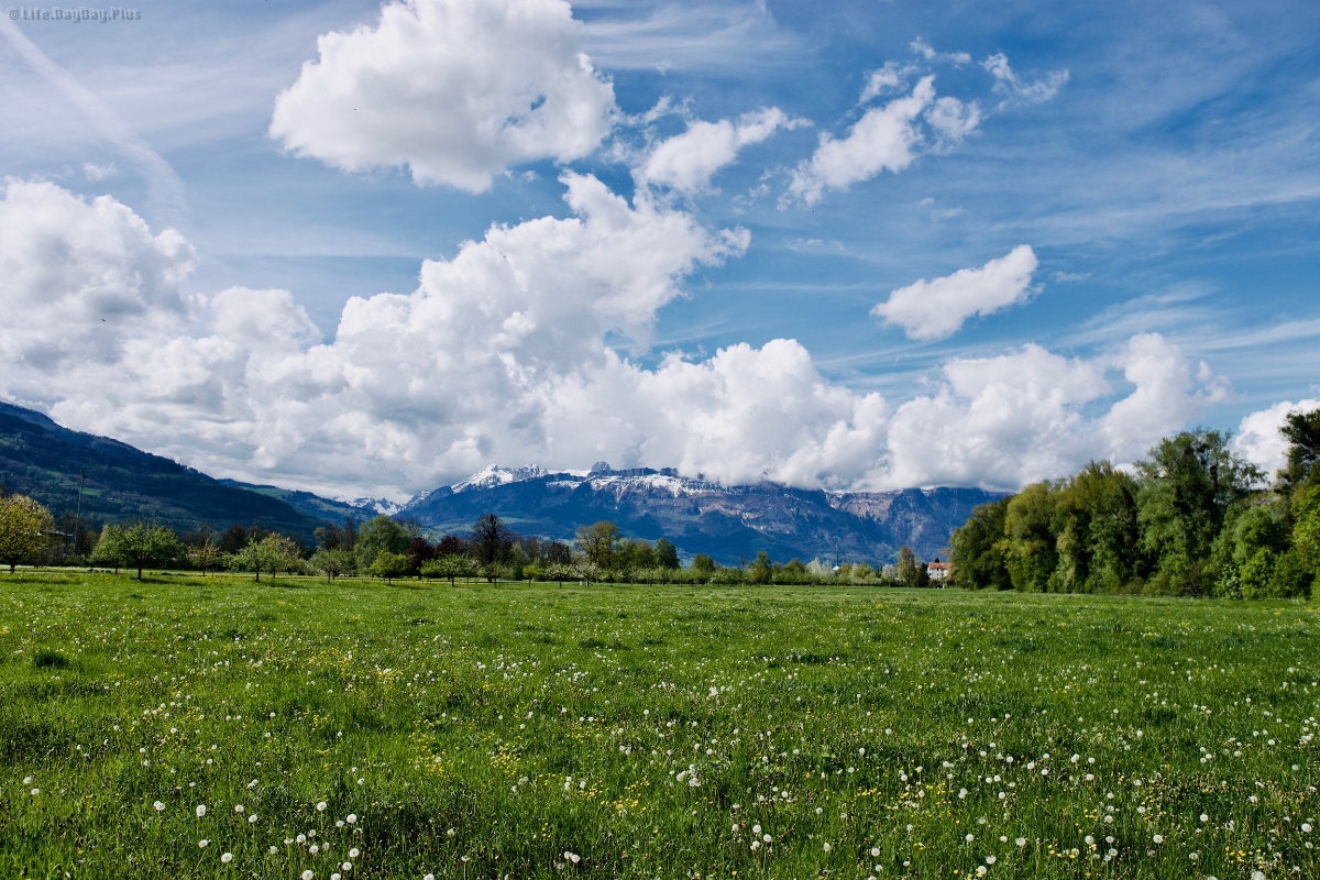 蓝天下的山景和草地