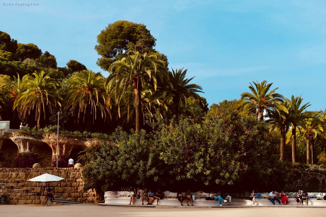 颇具热带气息的奎尔宫平台