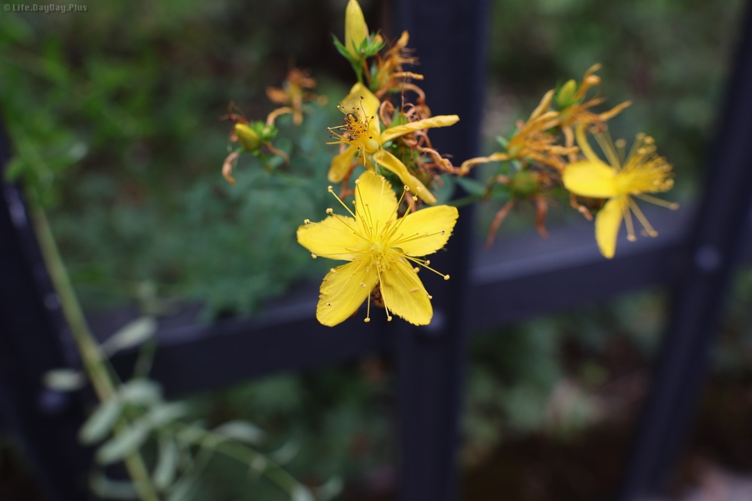 51D728DE-A2FE-4867-A6EB-2372164B1C34_1_105_c