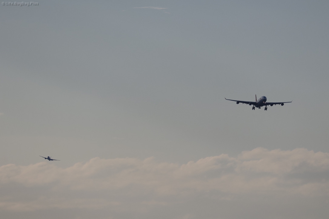 8A382061-7BD9-49EC-849B-BADB98B4638F_1_105_c