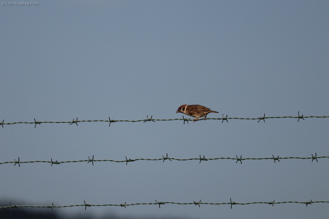 B5B478D3-09D4-4E48-9327-7AB3209626FF_1_105_c