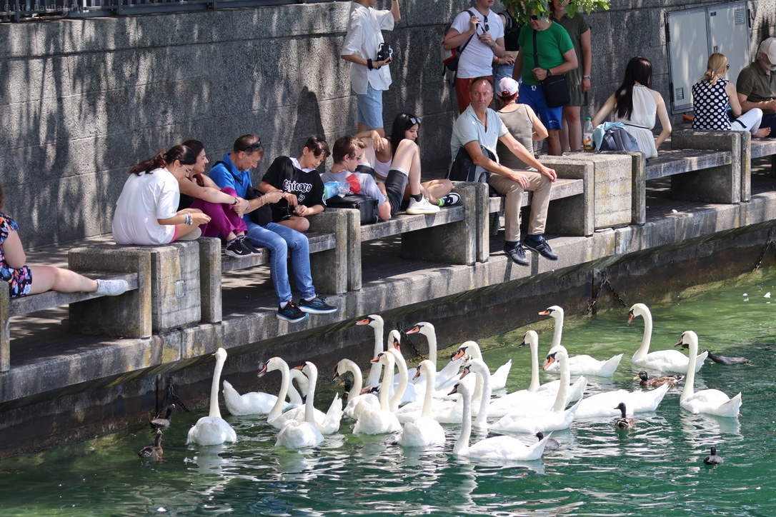 E1CBC9B7-D04E-4CDF-BDFE-FE7FA000A101_1_105_c