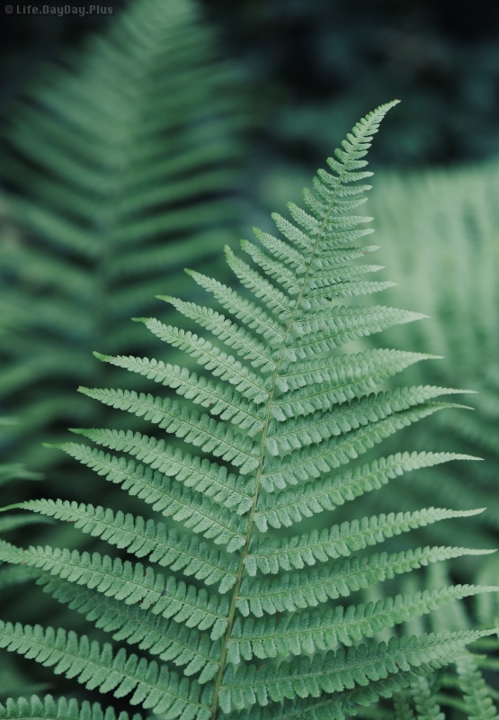 37FD1B9A-B7B1-4B6E-8454-26FFA328B920_1_201_a