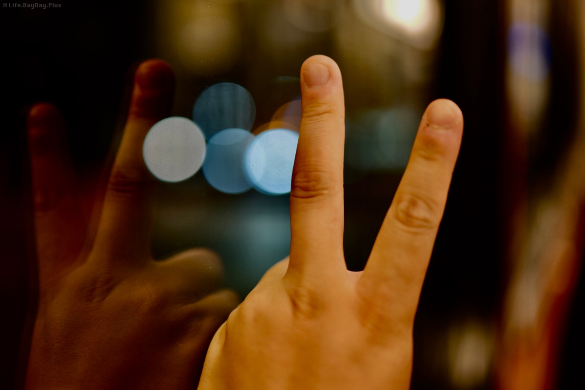 C85D5FD3-2A5C-4233-991F-58D86B6F727E_1_201_a