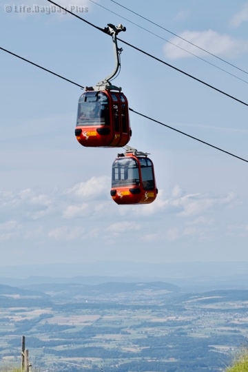 D3A9932E-6014-4778-8BC1-E76B8E1877E4_4_5005_c