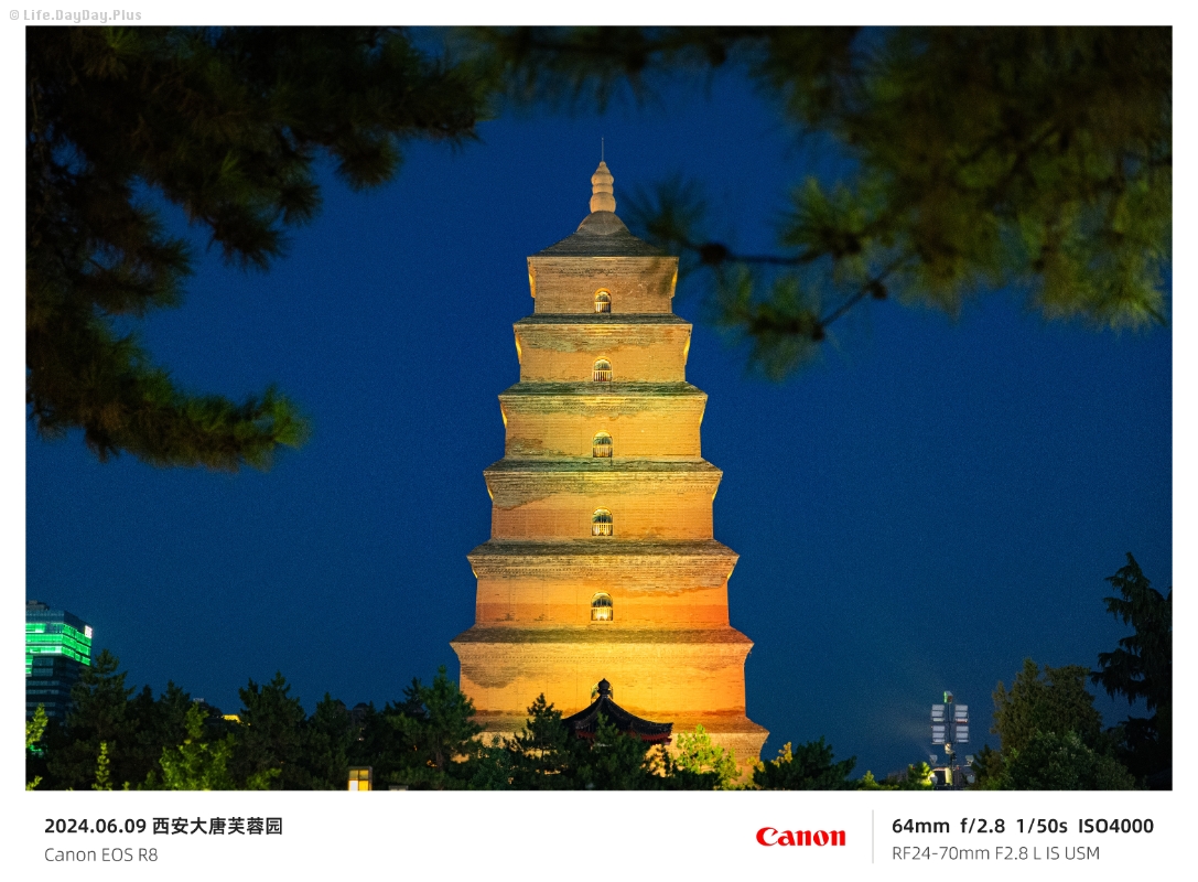 2024-06-09-西安大唐芙蓉园2