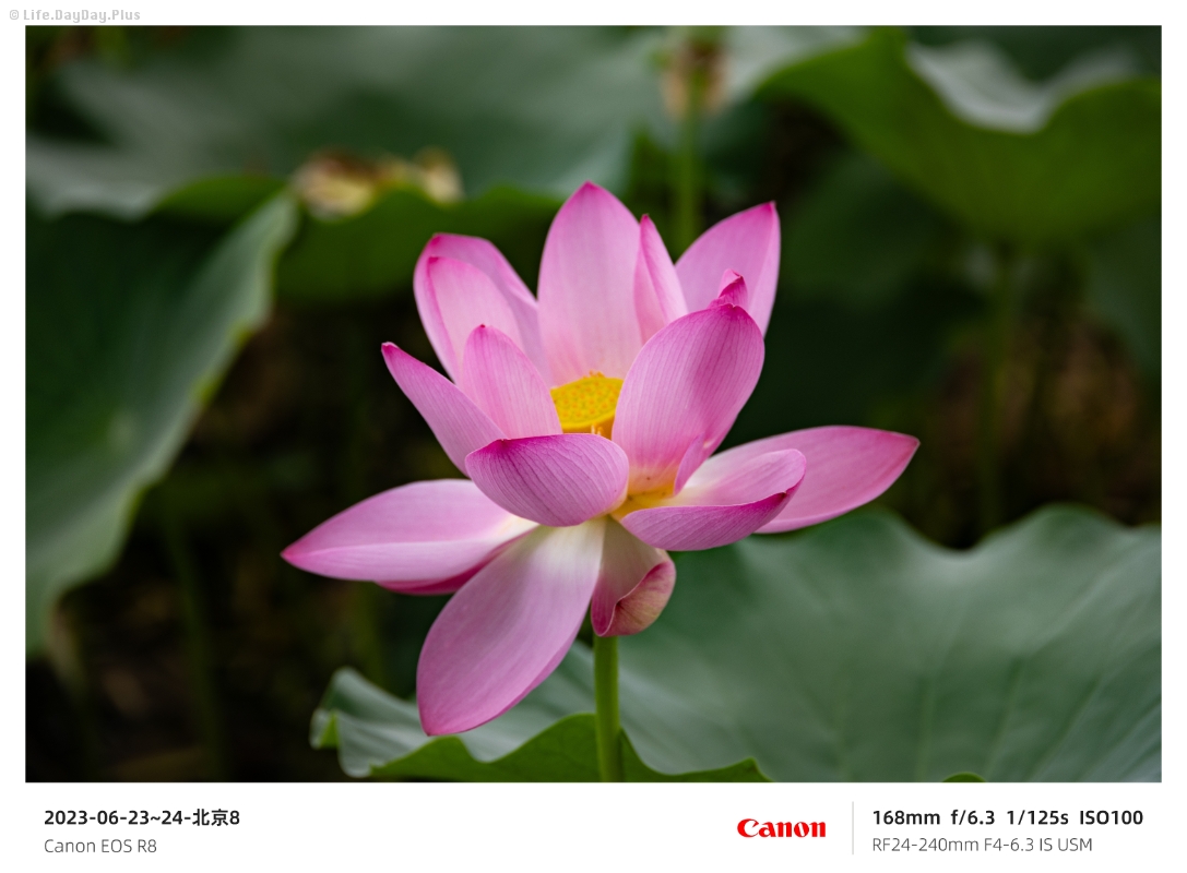 2024-06-23~24-北京2