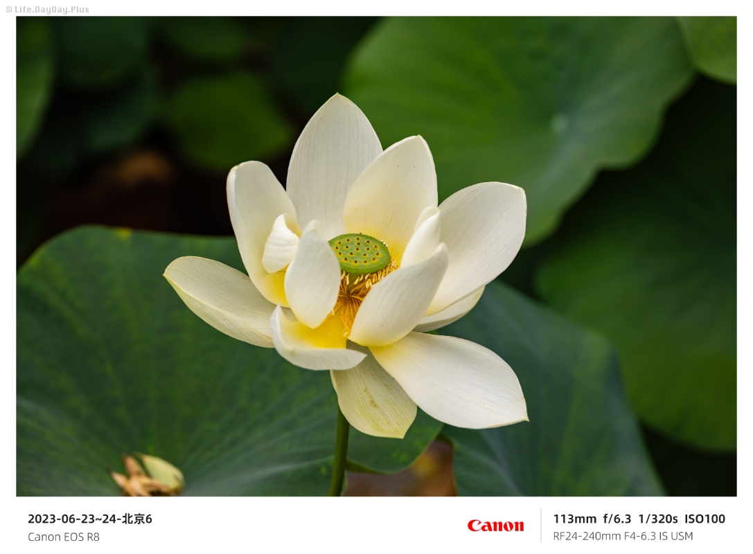 2024-06-23~24-北京5