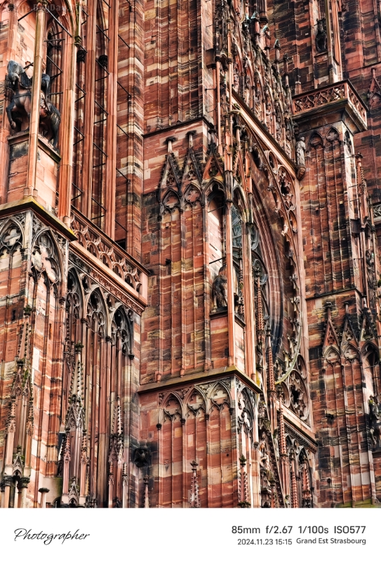 1491765548703_.pic_hd