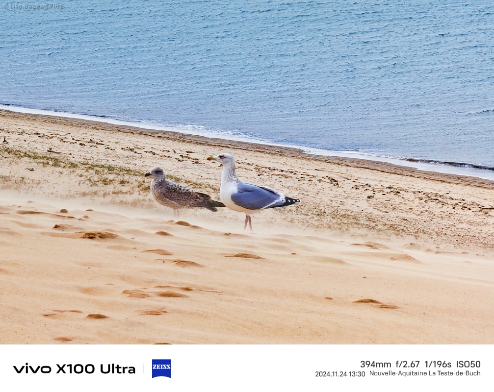 1541765548710_.pic_hd