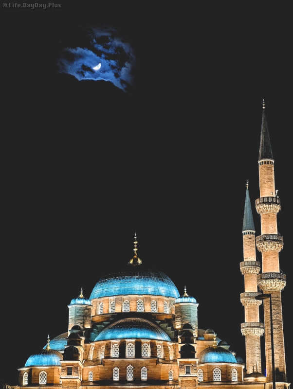 1551765548712_.pic_hd