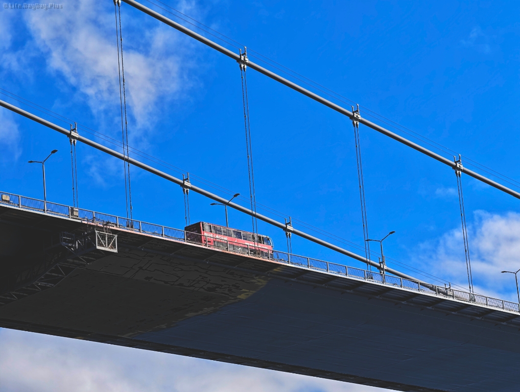 1671765548734_.pic_hd