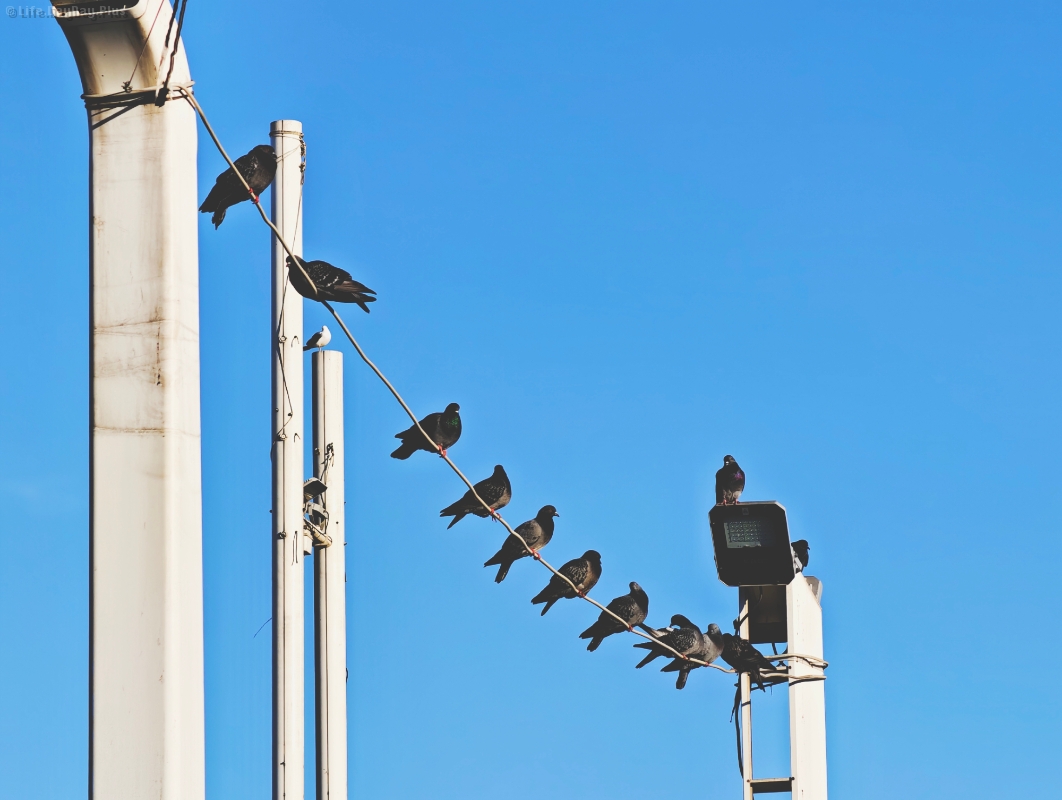 1681765548735_.pic_hd