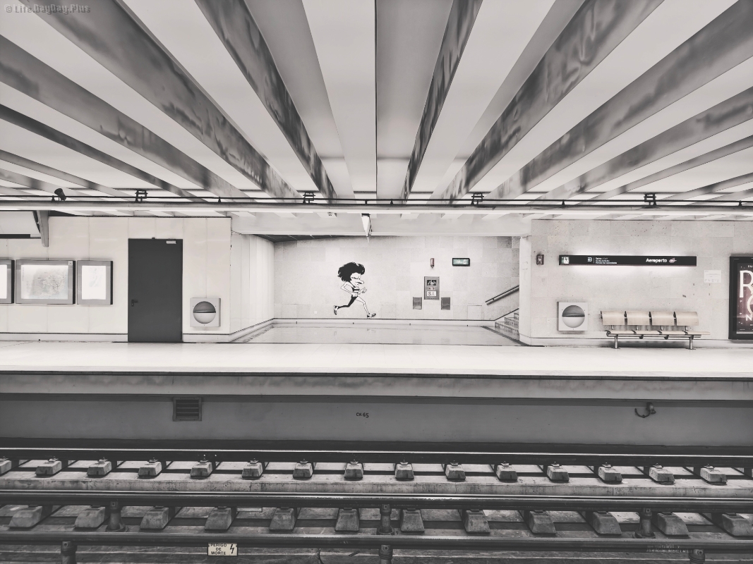 1731765548743_.pic_hd