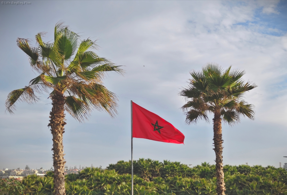 1771765548749_.pic_hd