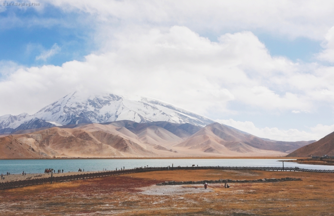 慕士塔格峰前的湿地