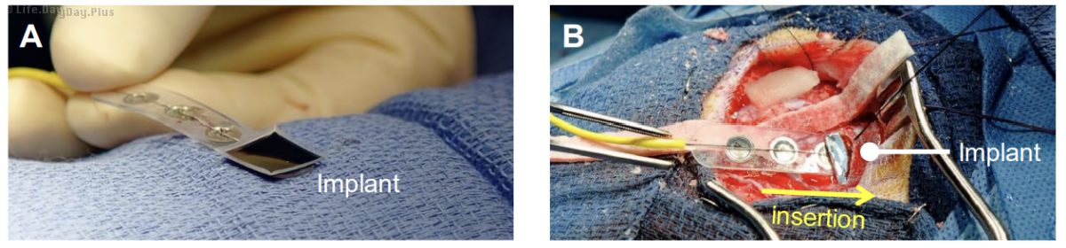 Snipaste_2024-06-04_22-43-30