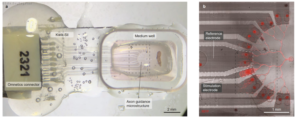 Snipaste_2024-06-04_22-44-27